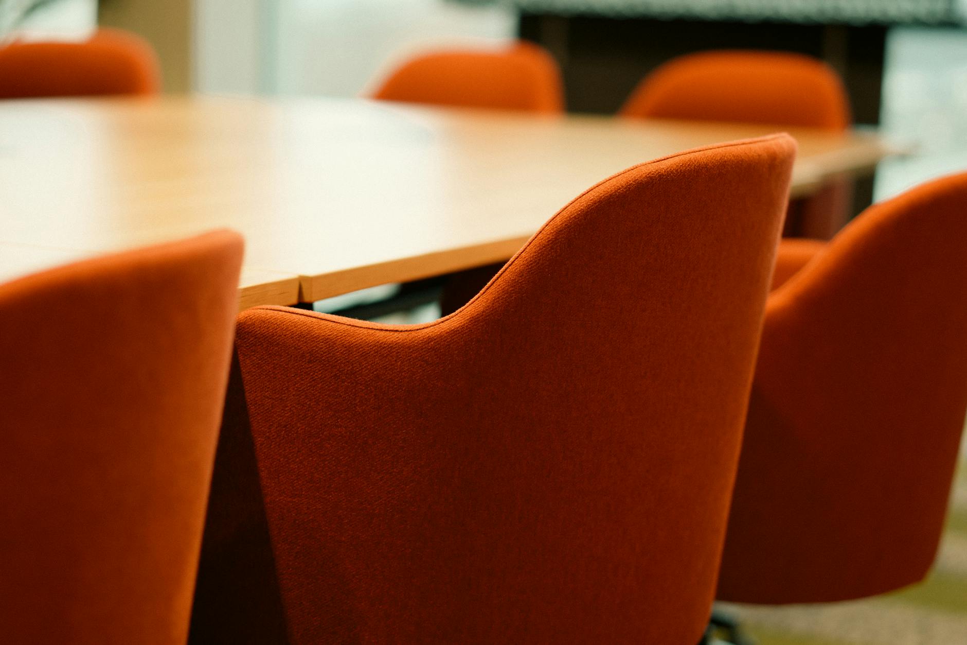 Italian SRL company governance -- directors and shareholders guide.